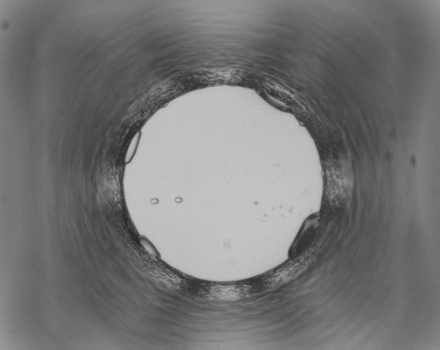 X0000068260613200605191804