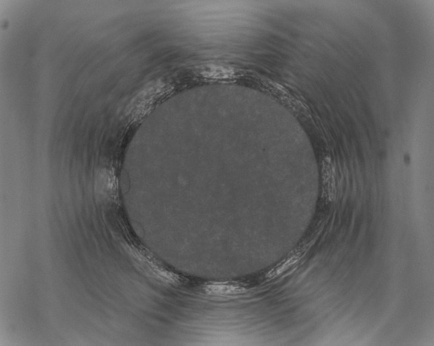 X0000068260614200605191804