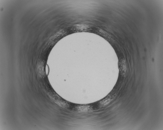 X0000068260615200605191804