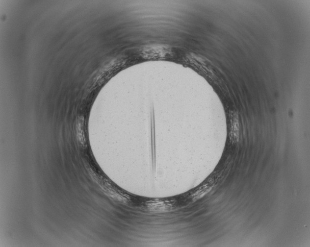 X0000068260616200605191804