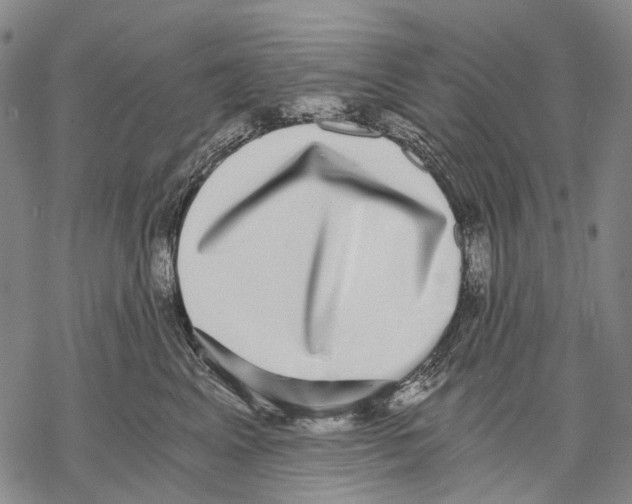 X0000068260617200605191804