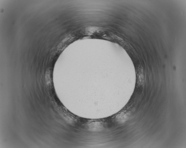 X0000068260620200605191804