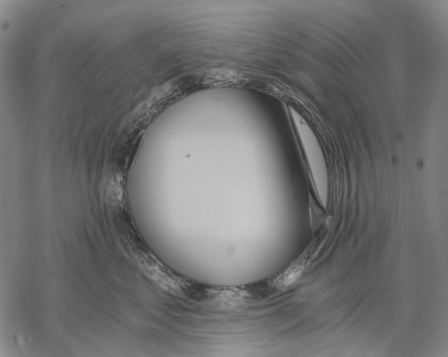 X0000068260621200605191804