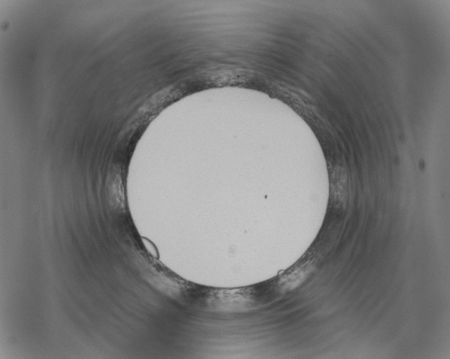 X0000068260622200605191804