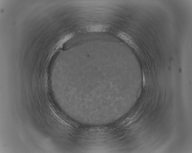 X0000068260627200605191803