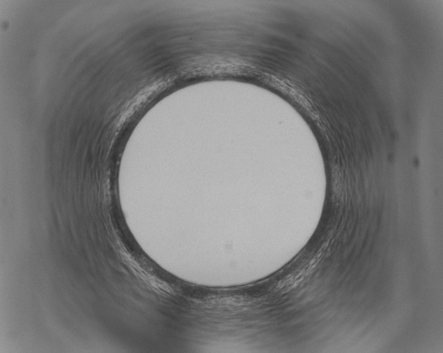 X0000068260629200605191803