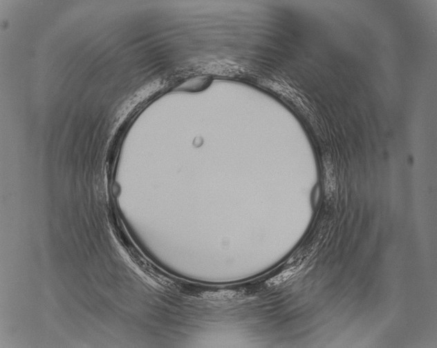 X0000068260630200605191803