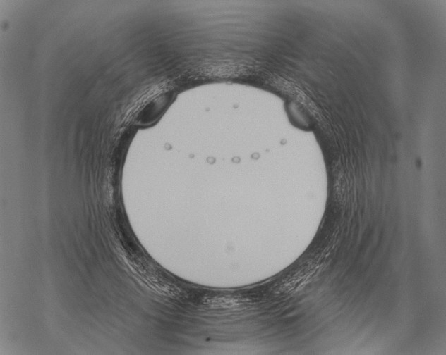 X0000068260635200605191804