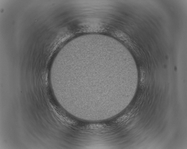 X0000068260636200605191804