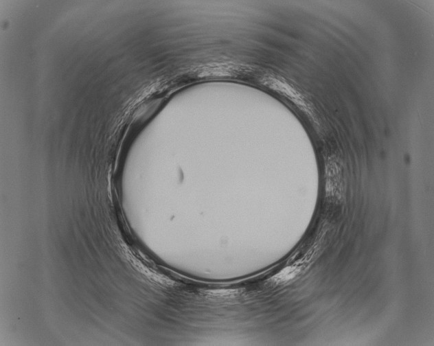 X0000068260637200605191804