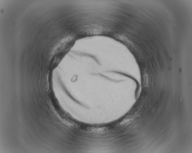 X0000068260638200605191804