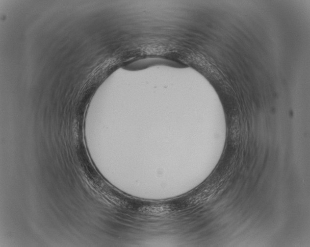 X0000068260639200605191804