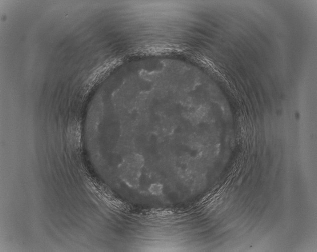 X0000068260640200605191804