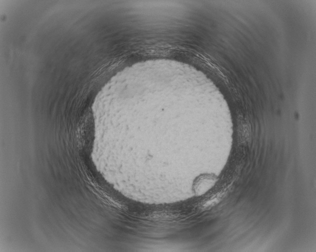 X0000068260641200605191804