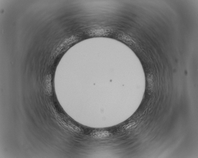 X0000068260642200605191804