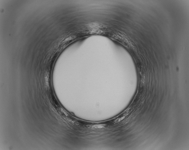 X0000068260643200605191804