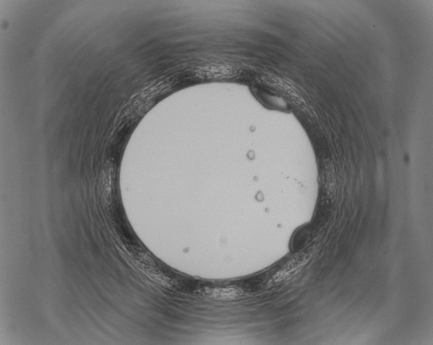 X0000068260645200605191804