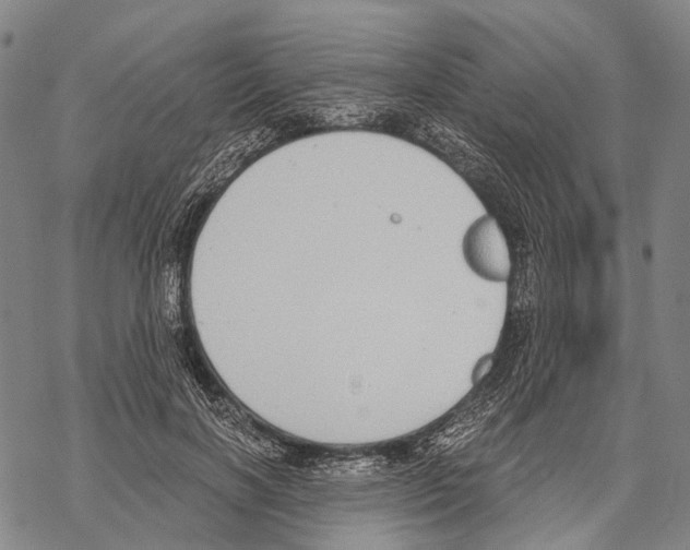 X0000068260646200605191804