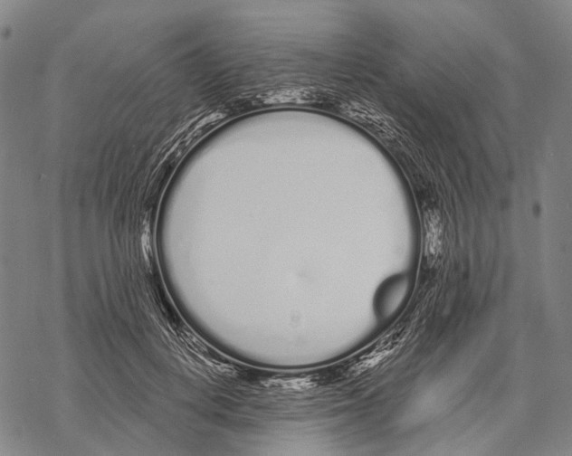 X0000068260648200605191804