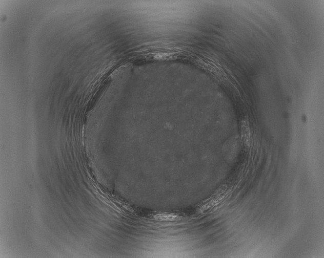 X0000068260650200605191804