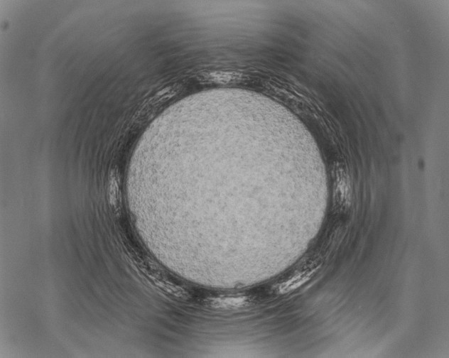 X0000068260651200605191804