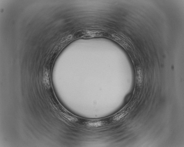 X0000068260653200605191804