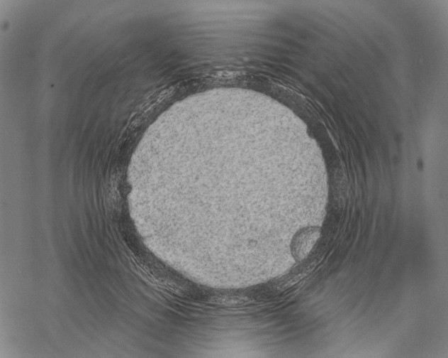 X0000068260654200605191804