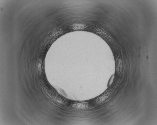 X0000068260655200605191804