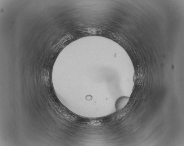 X0000068260656200605191804