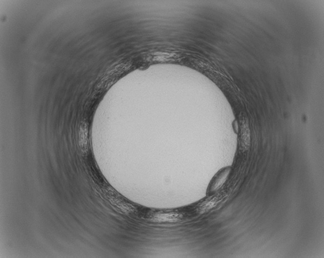 X0000068260657200605191804