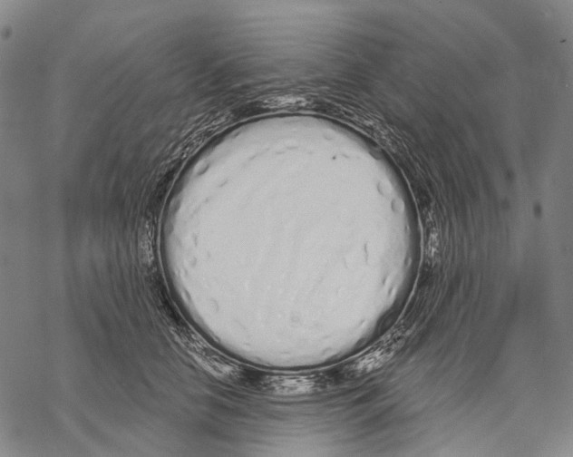 X0000068260658200605191804