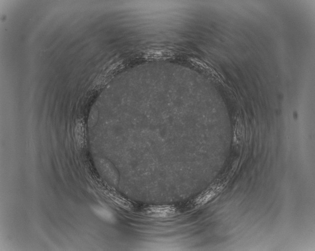 X0000068260659200605191804