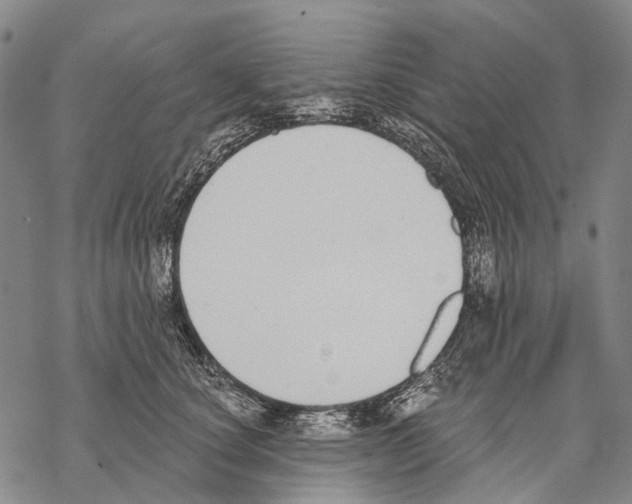 X0000068260660200605191804