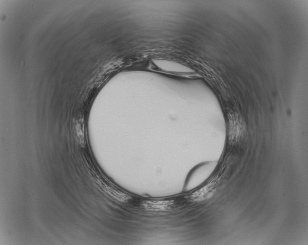 X0000068260661200605191804