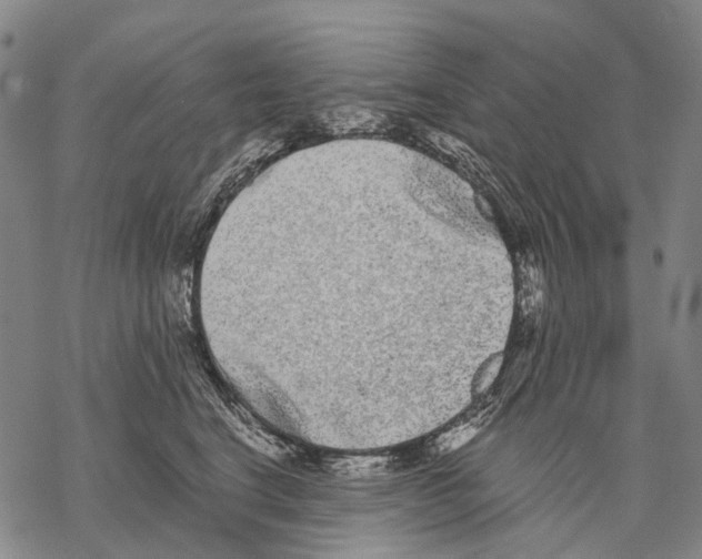 X0000068260664200605191804