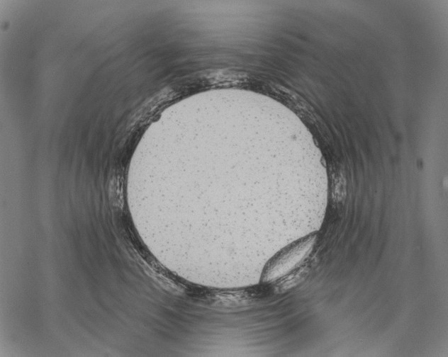 X0000068260666200605191804