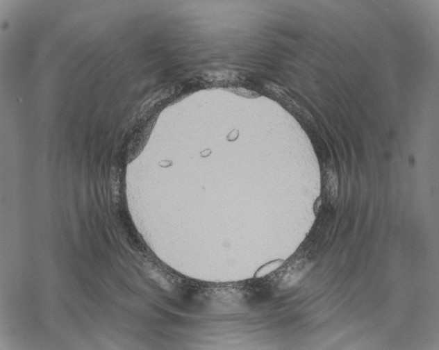 X0000068260668200605191804