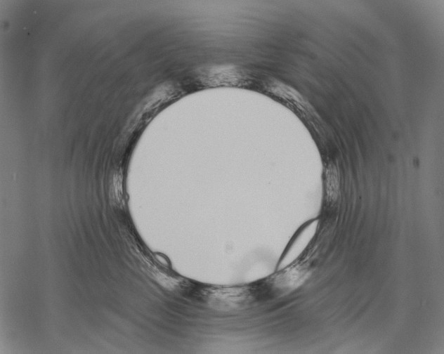 X0000068260669200605191804