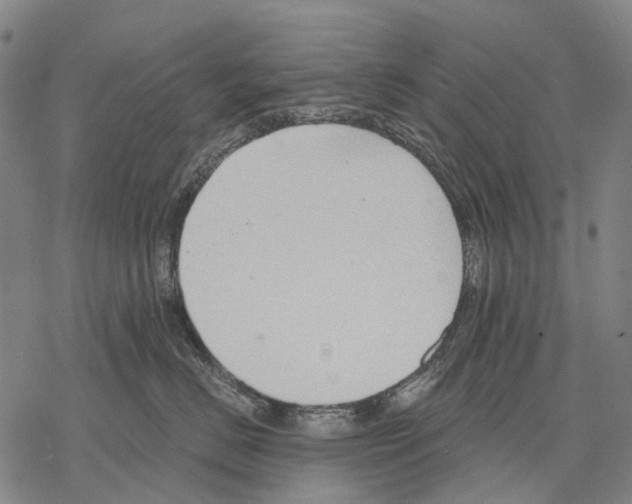 X0000068260670200605191804