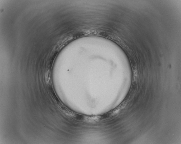 X0000068260671200605191804