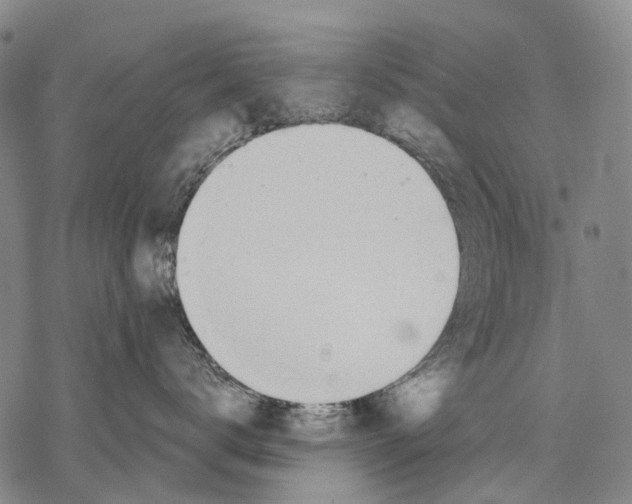 X0000068260672200605191804