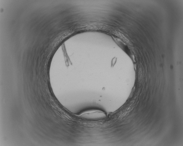 X0000068260673200605191803