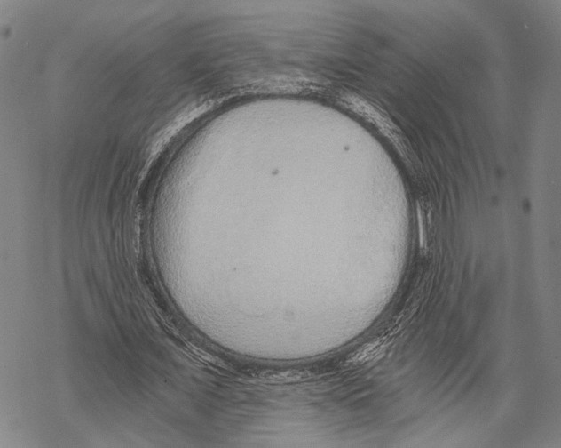 X0000068260675200605191803