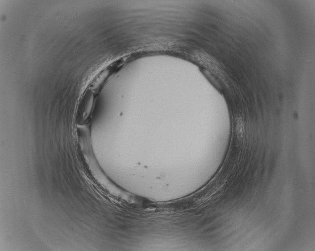 X0000068260676200605191803