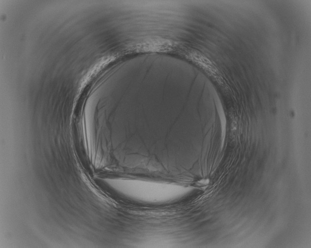 X0000068260678200605191803