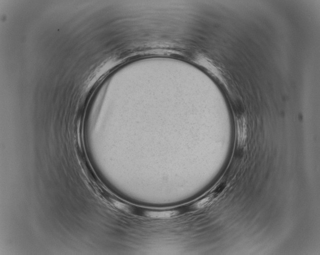 X0000068260679200605191803