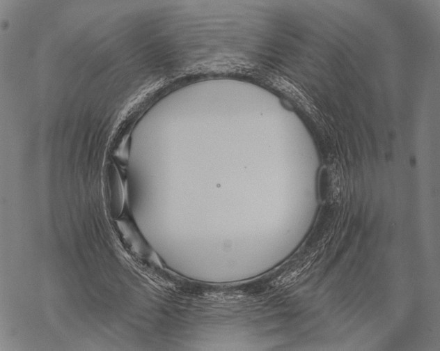 X0000068260680200605191803