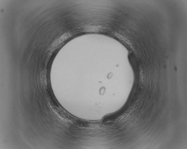 X0000068260682200605191803