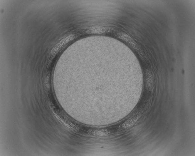 X0000068260683200605191803