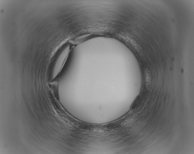 X0000068260684200605191803